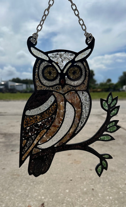 A61- Owl