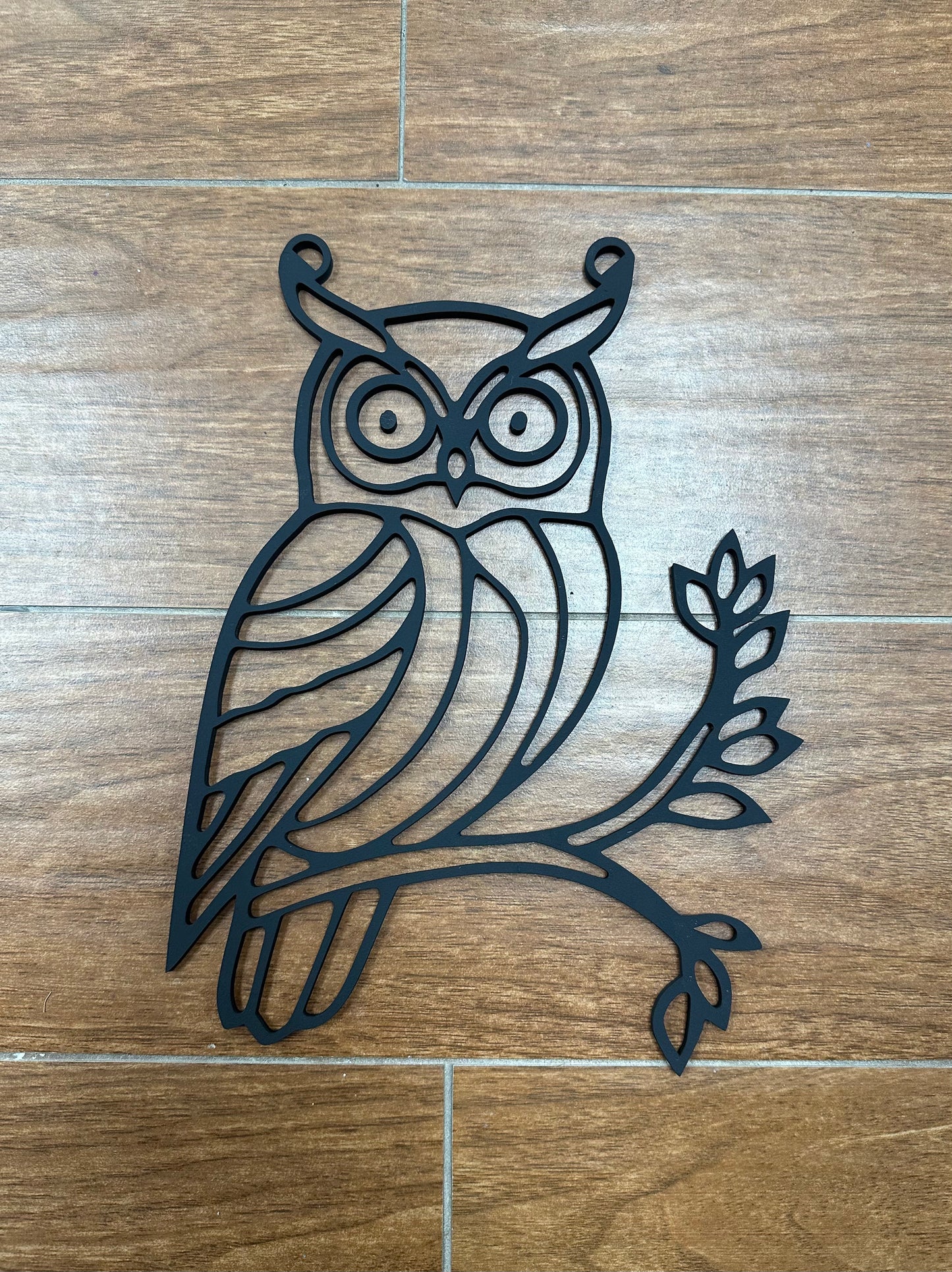 A61- Owl